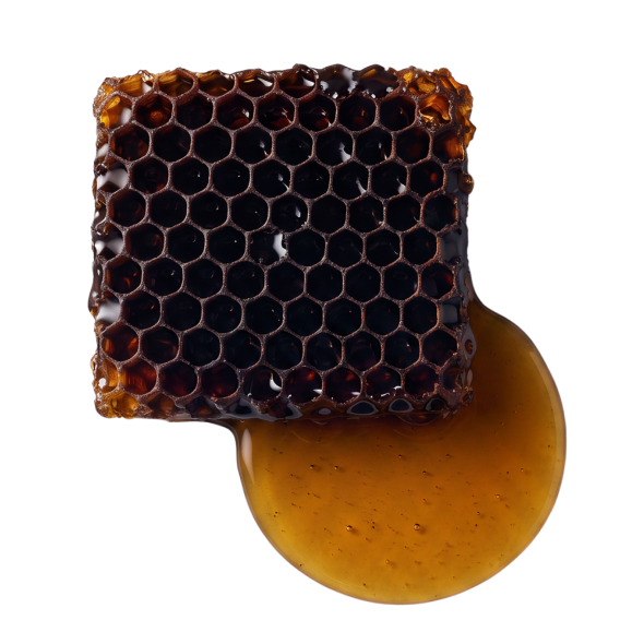 BLACK BEEOME™