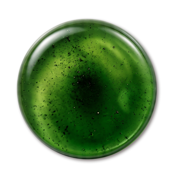 CHLOROPHYLL