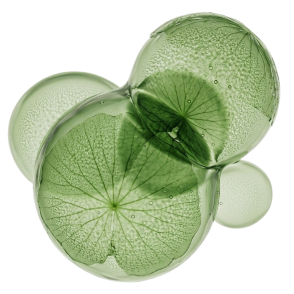 TECMi® EXOSOMEN