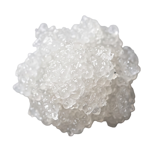 POLYNUKLEOTIDE